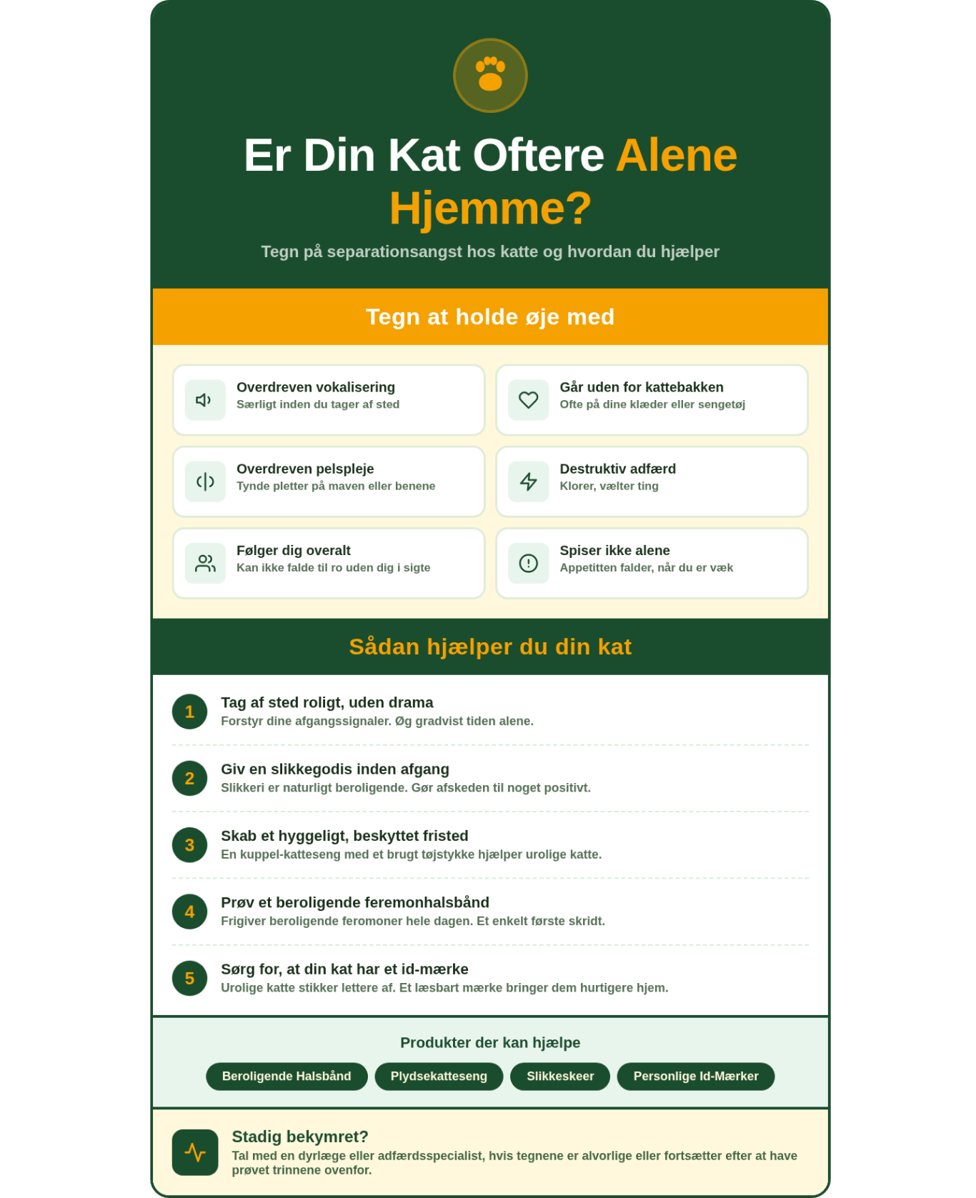Oversigt over tegn på separationsangst hos katte og måder at hjælpe.